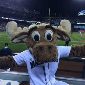 Meet your Posher, Joanne